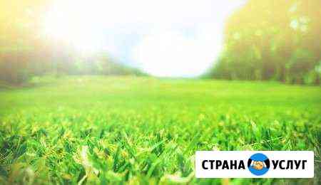 Расчистка и отсыпка участков Зеленогорск