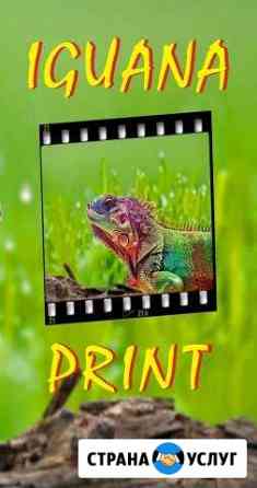 Iguana-Print фотосалон Уфа