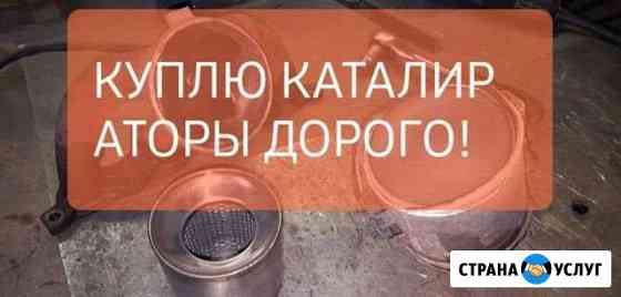 Приму Катализаторы Москва