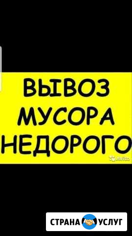 Вывоз мусора/Вывоз строительного мусора Калининград - изображение 1