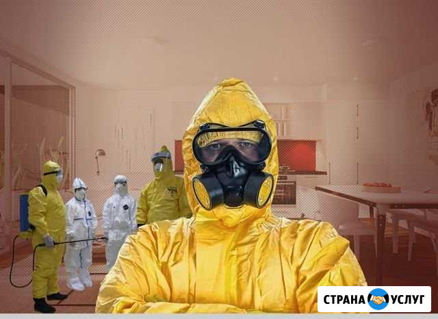 Дезинсекция Дубна, Кимры Дубна - изображение 1