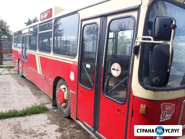 Грузоперевозки до 2 т.Минивен/Люкс.Ман bus.Бобкет Серпухов - изображение 1