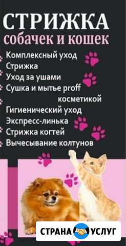 Грумер с золотыми руками Тула - изображение 1