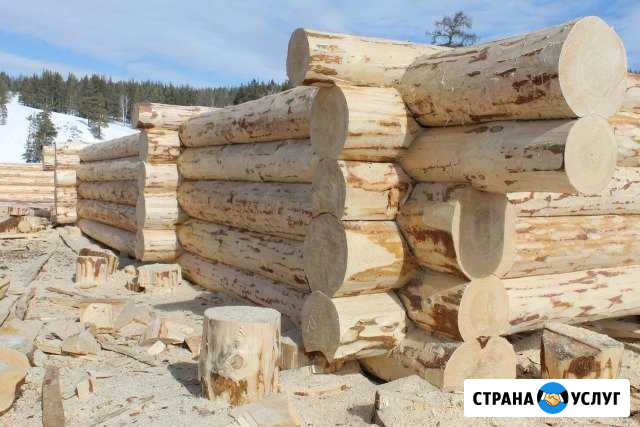 Срубы под заказ от производителя Уфа - изображение 1