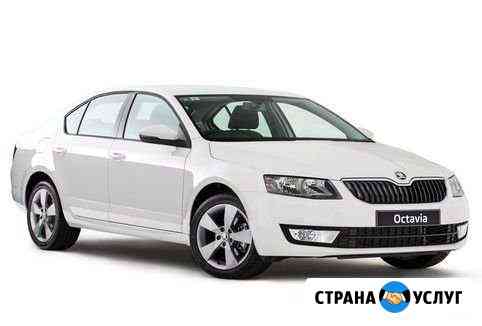 Прокат авто koda Octavia Ростов-на-Дону