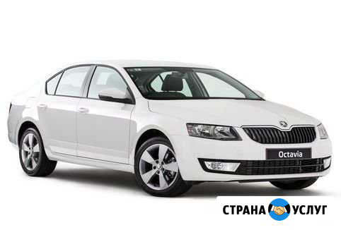 Прокат авто koda Octavia Ростов-на-Дону - изображение 1