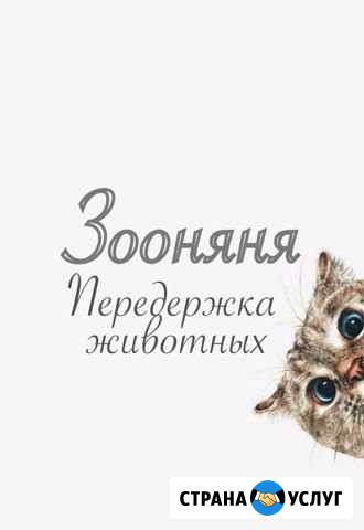 Домашняя передержка животных,зоогостиница Ростов-на-Дону - изображение 1