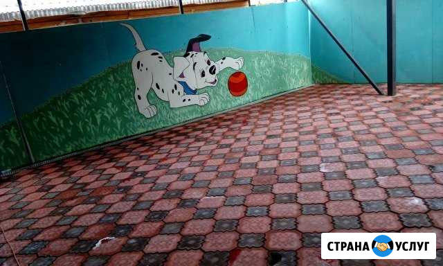 Возьму собаку на время отпуска в в частный дом Электросталь - изображение 1