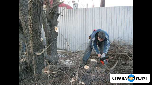 Спил деревьев Будённовск - изображение 1