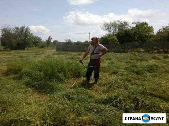 Покос травы Краснодар
