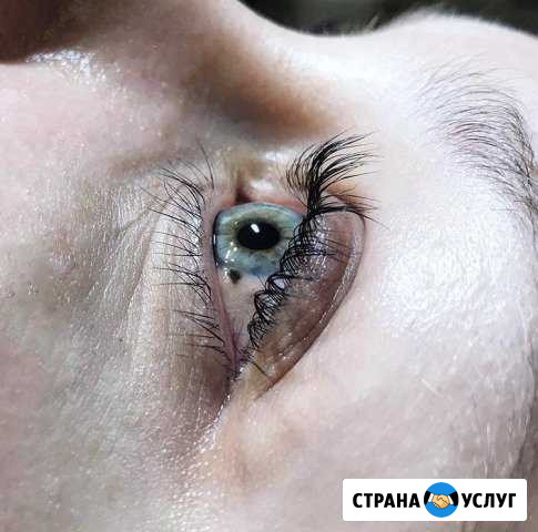 Ламинирование ресниц, ботокс для ресниц Ивантеевка - изображение 1