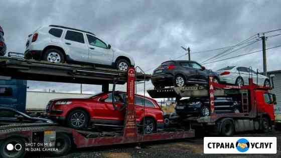 Перевозка авто автовозом Пушкин