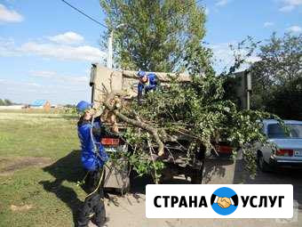 Вывоз мусора Ракитное - изображение 1