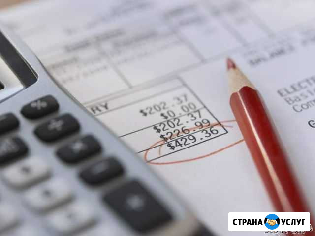 Учет и отчетность организаций и предпринимателей Волжский Волгоградской области - изображение 1