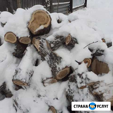 Дрова Биробиджан - изображение 1