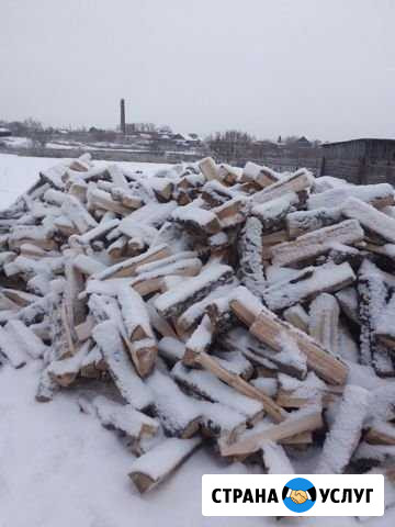 Дрова Заводоуковск - изображение 1