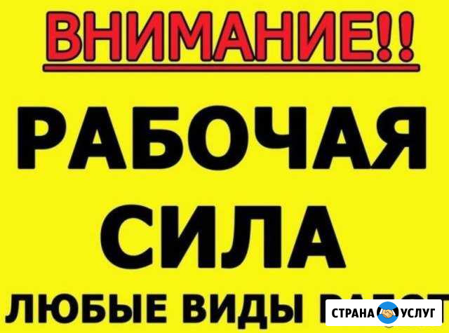 Разнорабочие. готовы приступить Пермь - изображение 1