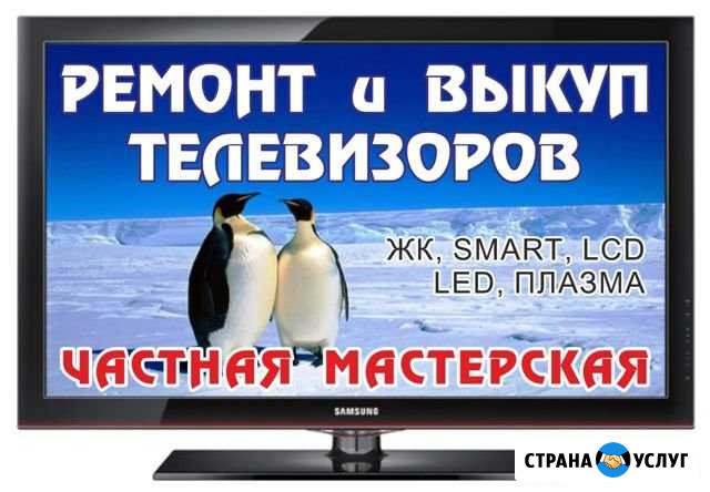 Цены частников - Гарантия организации. Опыт 25 лет Пенза - изображение 1
