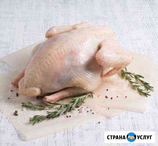 Мясо домашней птицы, яйцо Ашукино