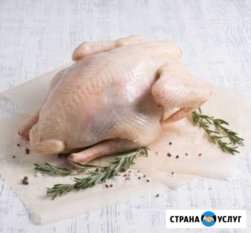 Мясо домашней птицы, яйцо Ашукино - изображение 1