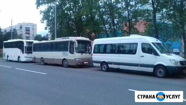 Пассажирские перевозки до 40 мест Санкт-Петербург - изображение 1