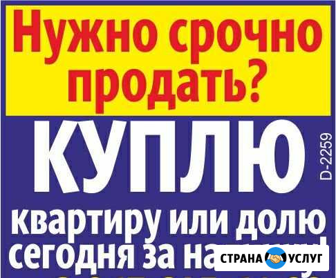 Выкуп квартир и долей. С долгами, проблемами Зея - изображение 1