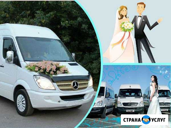 Заказ микроавтобуса в Северодвинске,Архангельске,Н Северодвинск - изображение 1