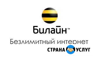 Безлимитный интернет Билайн Санкт-Петербург - изображение 1