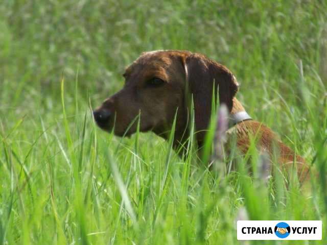 Вязка Бийск - изображение 1