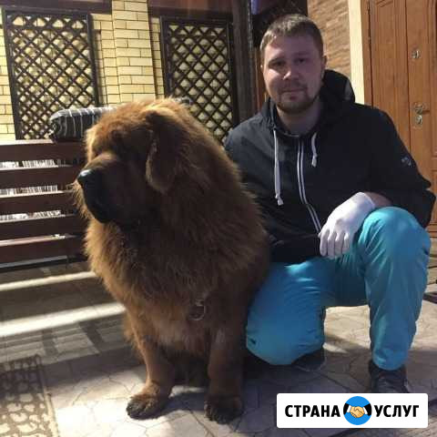 Скорая ветеринарная помощь Можга - изображение 1