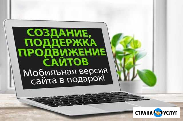 Создание, поддержка, продвижение сайтов Великий Новгород - изображение 1