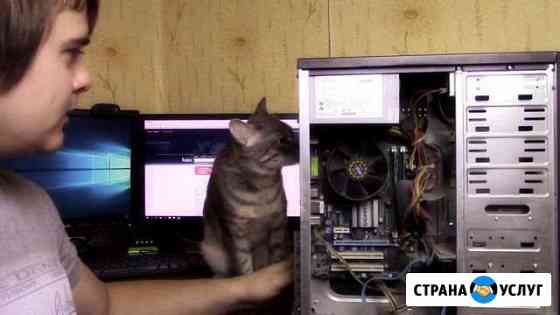 Ремонт ноутбуков, пк. Установка Windows. Выезд Сургут