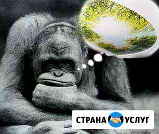 Натяжные потолки Зеленодольск