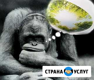 Натяжные потолки Зеленодольск - изображение 1