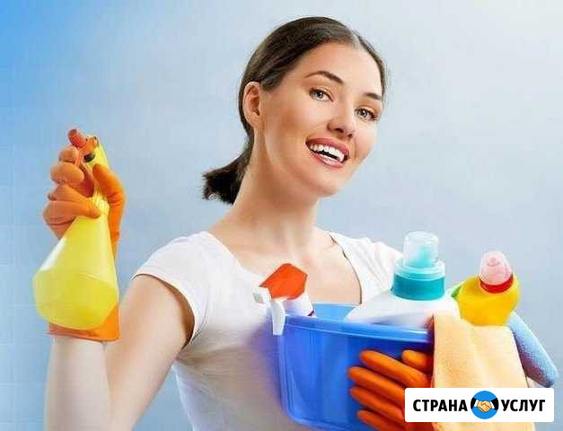 Чистый дом Каменка - изображение 1