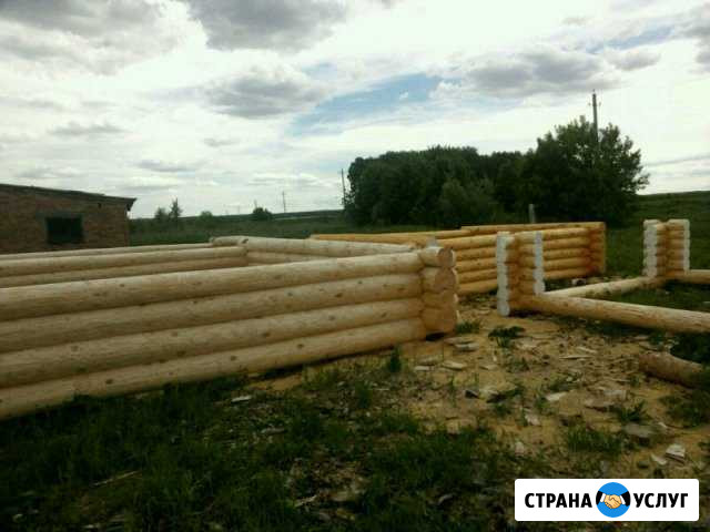 Рубка срубов Сосновка - изображение 1