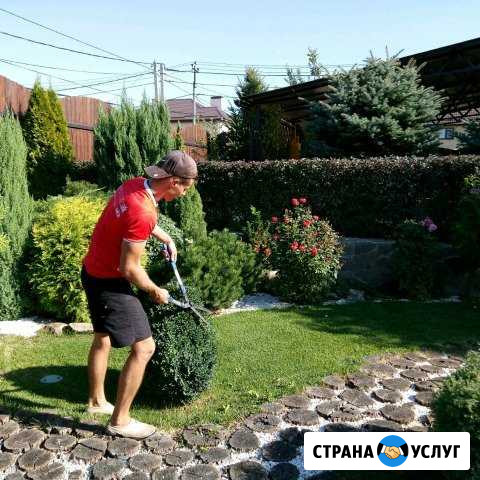 Озеленение Волжский Волгоградской области - изображение 1