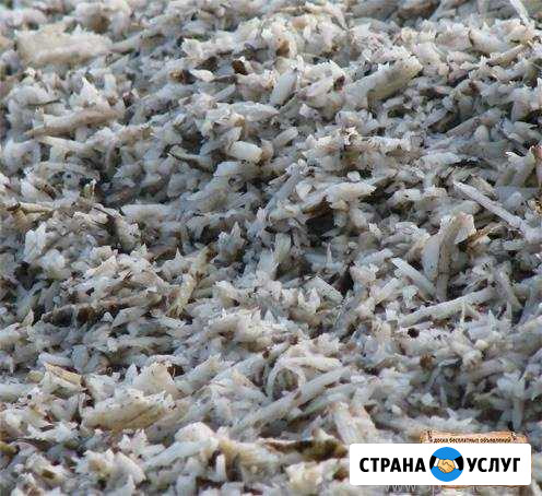 Жом Свекольный из под ленты Мичуринск - изображение 1