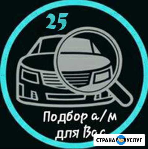 Помощь в покупке авто, автоподбор, толщиноме Владивосток - изображение 1