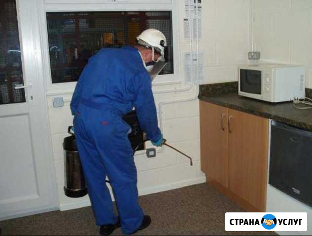 Уничтожаем тараканов клопов мышей крыс навсегда Ставрополь - изображение 1