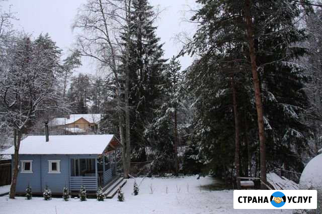 Баня для здоровья Сестрорецк - изображение 1