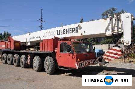 Аренда автокрана 25т, 80т Волжский Волгоградской области - изображение 1