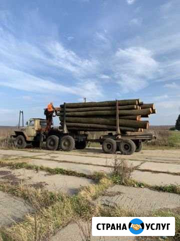 Перевозка, вывоз леса. Погрузка и разгрузка леса у Рославль - изображение 1