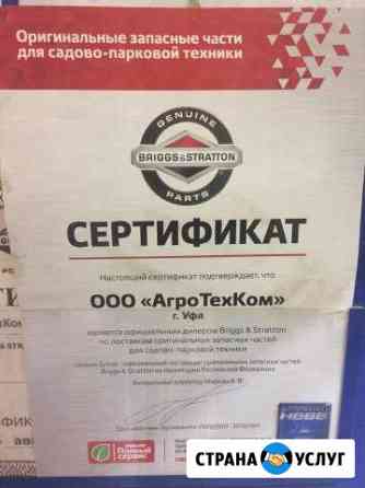 Ремонт мотоблоков, снегоуборщиков, бензокос Уфа