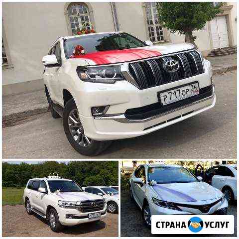 Заказ и Аренда Микроавтобуса. Свадебный кортеж Волгоград