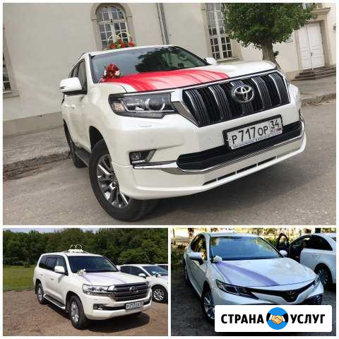 Заказ и Аренда Микроавтобуса. Свадебный кортеж Волгоград - изображение 1