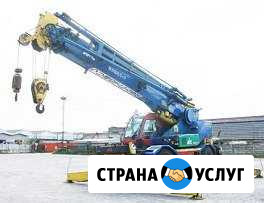 Аренда автокранов 14 тонн,16 тонн,25тонн Барнаул - изображение 1