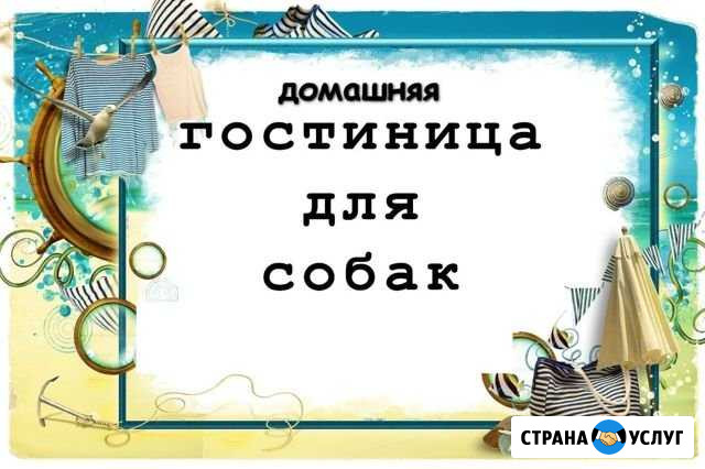 Домашняя передержка для собак Братск - изображение 1