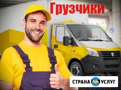 Грузоперевозки Бийск - изображение 1
