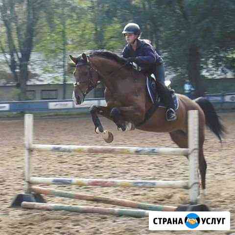 Конный спорт Москва